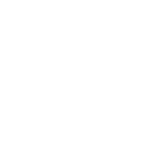 02_ComuneDiFirenze-1-300x300.png